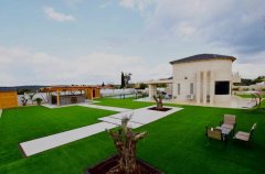 אירוח כנפי נשרים 11