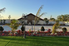 אירוח כנפי נשרים 16