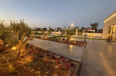 אירוח כנפי נשרים 30