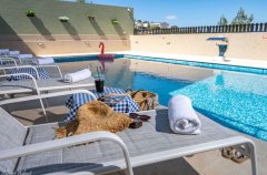 אחוזת האלונים 12