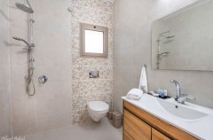 אחוזת האלונים 54