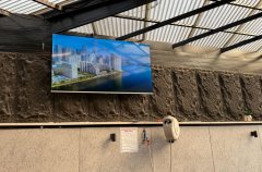 וויט פאלאס 28