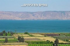 וילה אל הציפור 29
