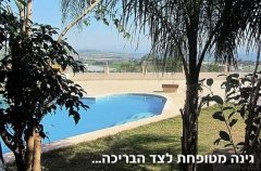 וילה אל הציפור 31