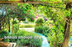 וילת הבוסתן 20