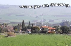 וילה אביגיל 7