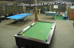 וילה אביגיל 19