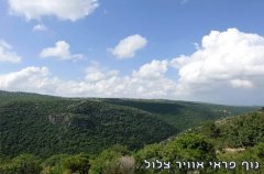 וילה הרוח הגלילית 19