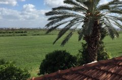 וילה יגל 15