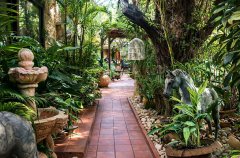 וילה דה קיסריה 59