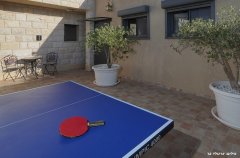 וילה אחוזת שושנים בוטיק 43