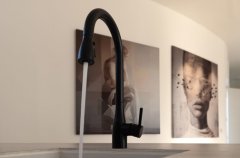 אחוזת ג'ורדן 31