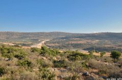 וילה וילה חלומות יעקב 50