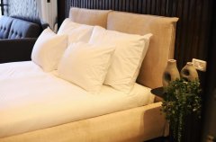 Suite Of Dreams 41