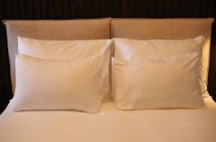 Suite Of Dreams 44